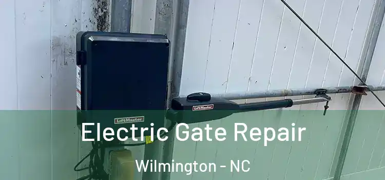 Electric Gate Repair Wilmington - NC