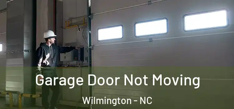  Garage Door Not Moving Wilmington - NC