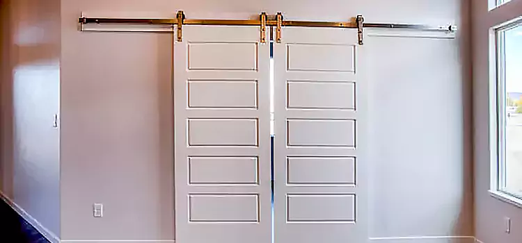 Glass Barn Door with Installation Hardware Kit Wilmington