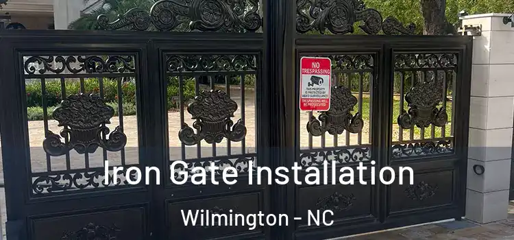 Iron Gate Installation Wilmington - NC